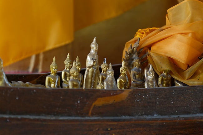 Talin chan-NOV13-121